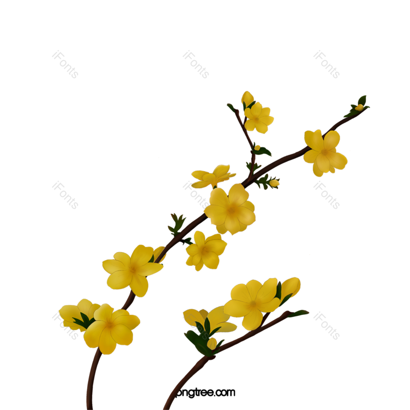 春季图片,花瓣元素,植物PNG,浪花免抠素材
